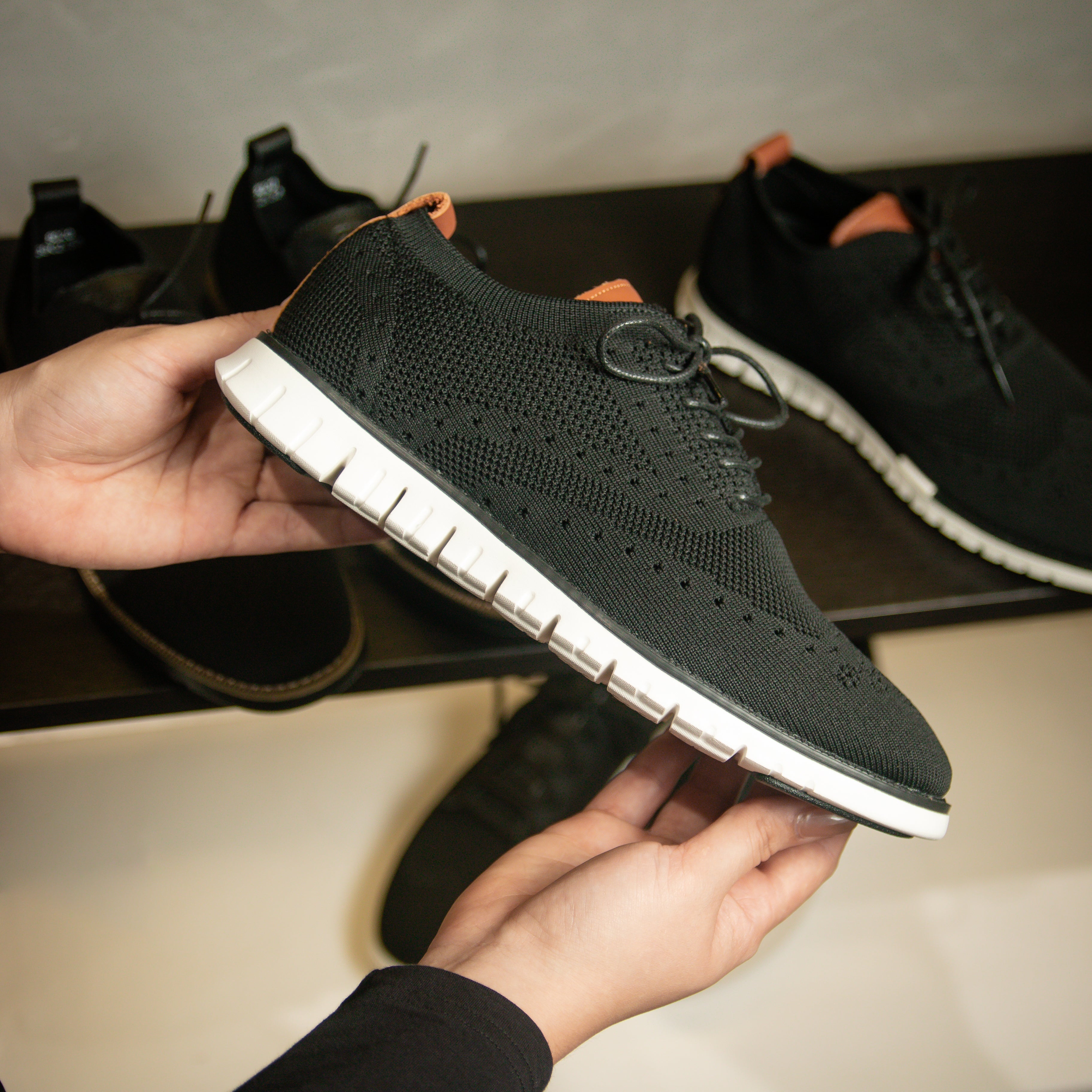 Oxford de Tela Apolo