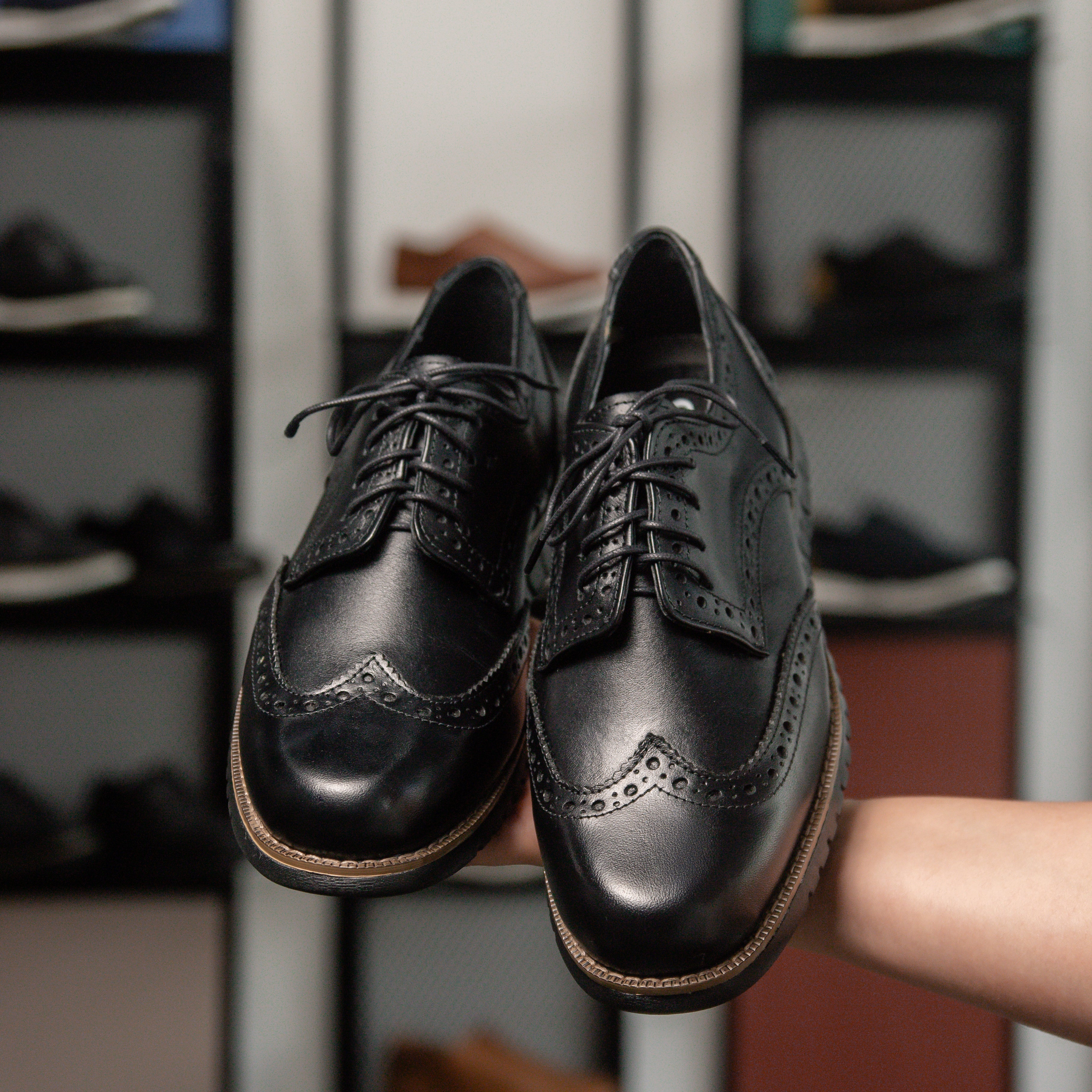 Oxford Clásico Prestige