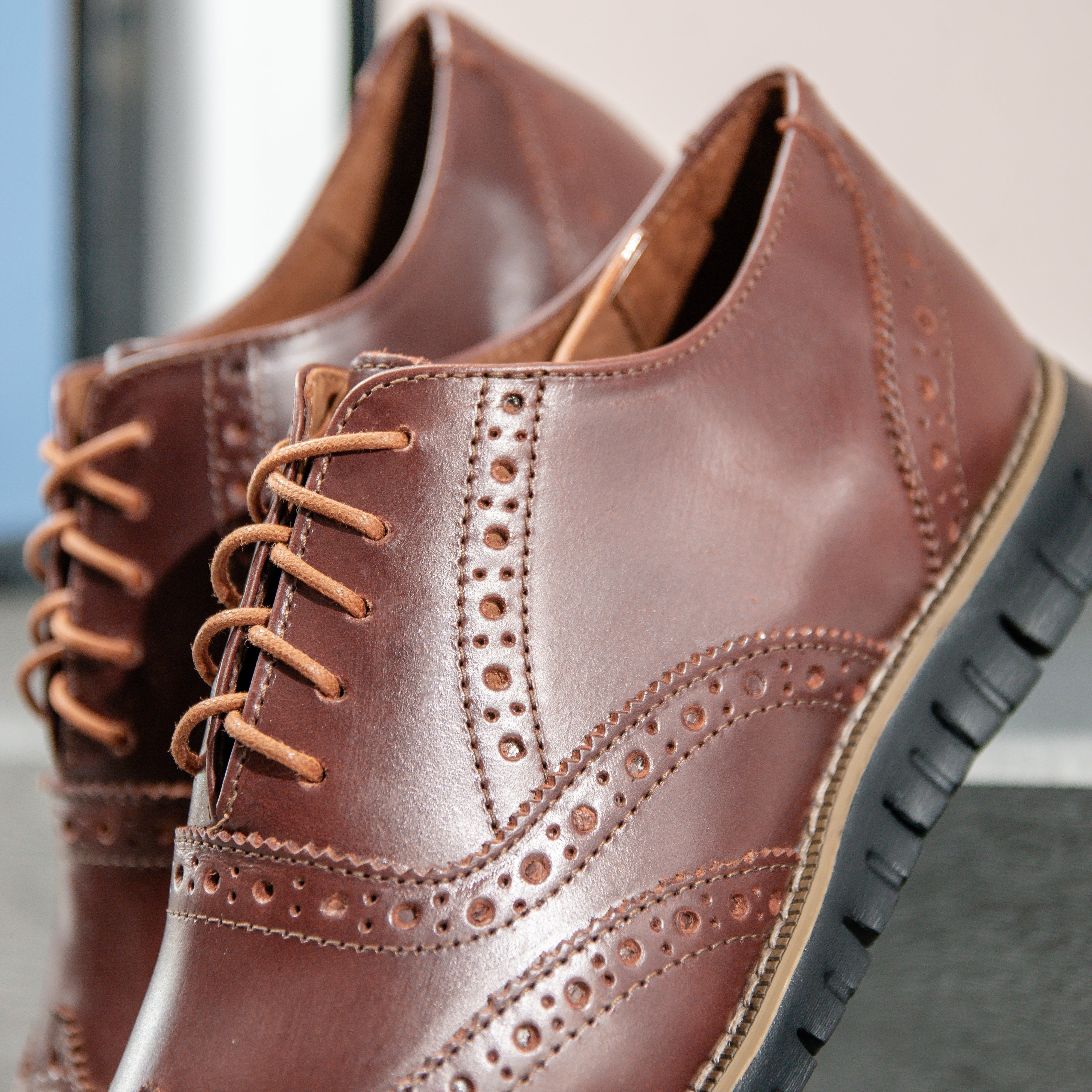 Oxford Clásico Prestige