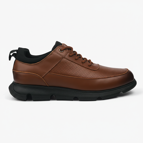 Oxford Regal Pro