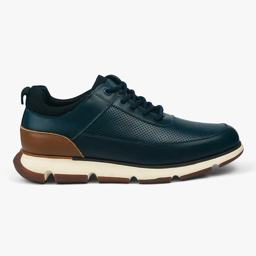 Oxford Regal Pro